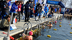 Im zimniej, tym lepiej. Zacięta rywalizacja pływaków lodowych w Ełku Im zimniej, tym lepiej. Zacięta rywalizacja pływaków lodowych w Ełku
